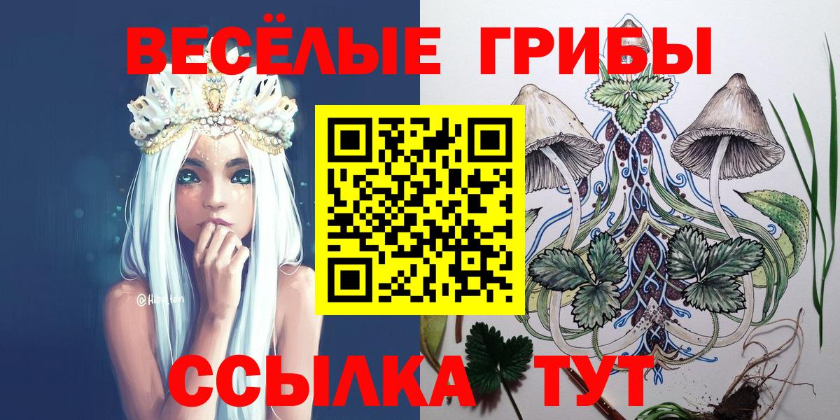 Псилоцибиновые грибы MAGIC MUSHROOMS Михайловск